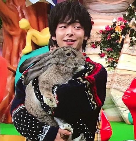 中村倫也の動物好きエピソードまとめ ガチすぎるが癒し効果抜群 Jewelry Life